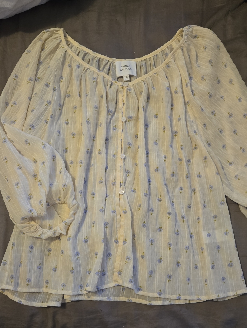 Things Remembered Pale Cream Button-Front Floral Blouse